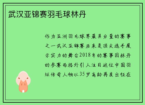 武汉亚锦赛羽毛球林丹