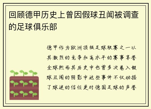 回顾德甲历史上曾因假球丑闻被调查的足球俱乐部